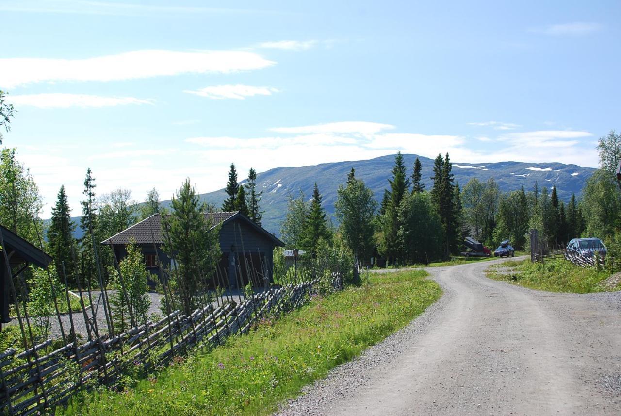 Ottsjoe Bear Lodge エクステリア 写真