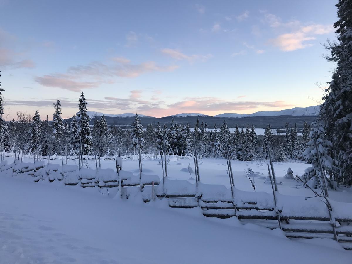 Ottsjoe Bear Lodge エクステリア 写真